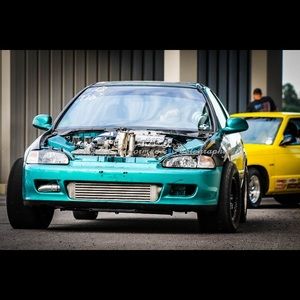 Meet your Posher, Willie